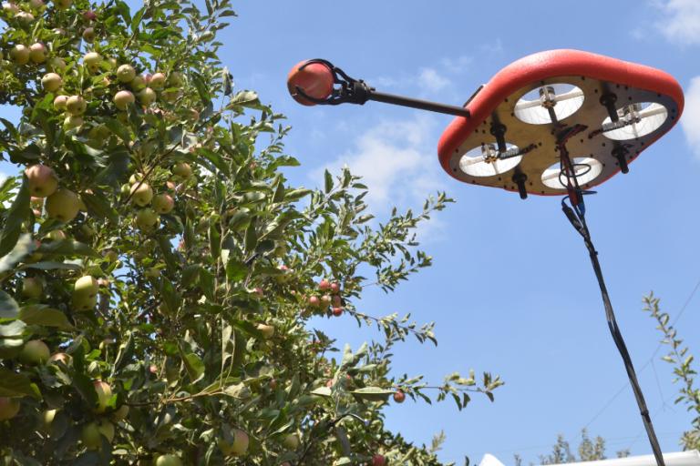 Imagen de dron recogiendo fruta